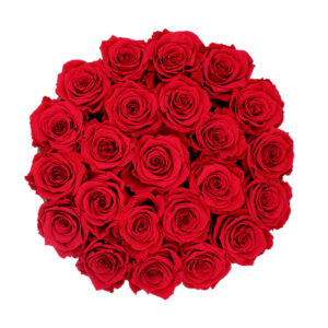 BUCKET-OF-LOVE-RED-ROSES BUCKET-OF-LOVE-RED-ROSES