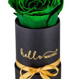 Bucket-Of-Love_green-1
