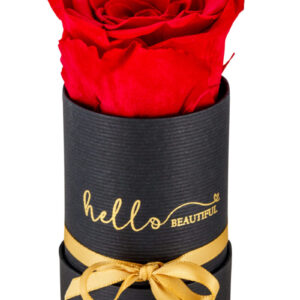 My Sweetie_blue rose
